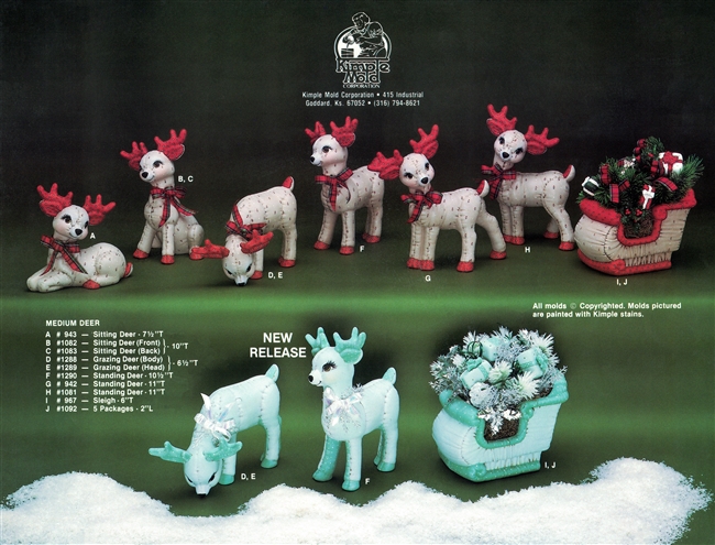 FLYER020-2T.jpg